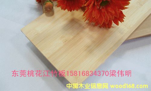 ��ɫƽ�����