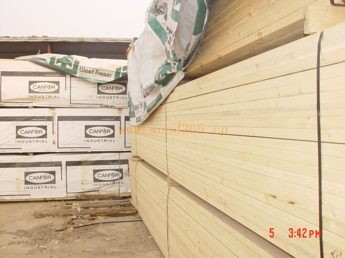 SPF��Ԕ����B