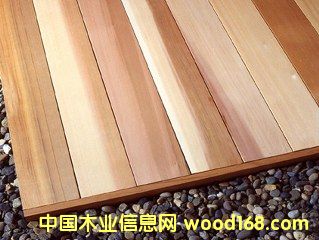 ���⽨�ĮaƷ--�҃�������