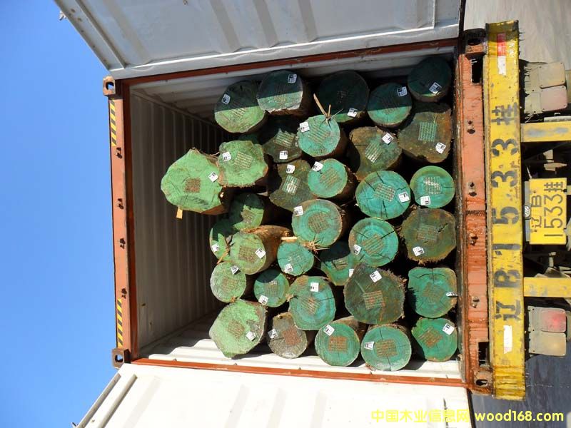 ��ľԭľ��Ԕ����B