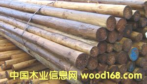 ��ɼ��Ԕ����B