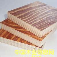 ���γ���ľƤ����Ԕ����B