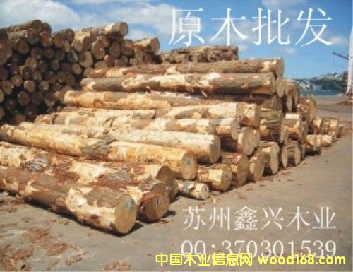 ȺӢľ�I��Ԕ����B