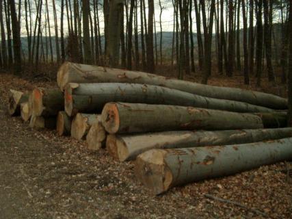 �W�ޙ�ľԭľ��Ԕ����B