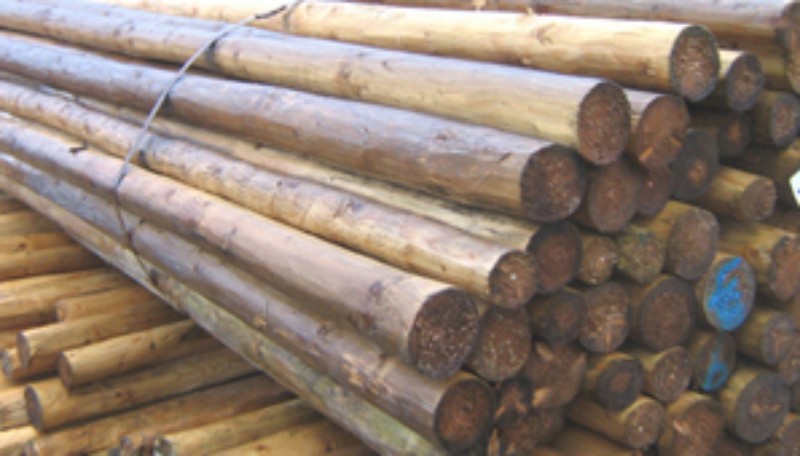 ��ɼ��Ԕ����B