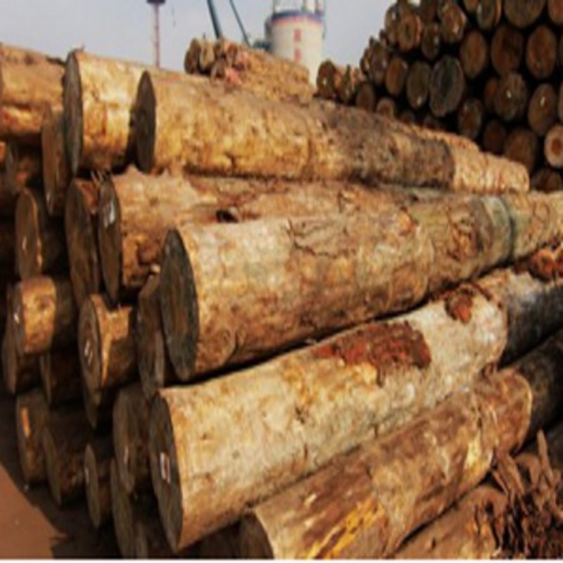 ݗ���ɵ�Ԕ����B