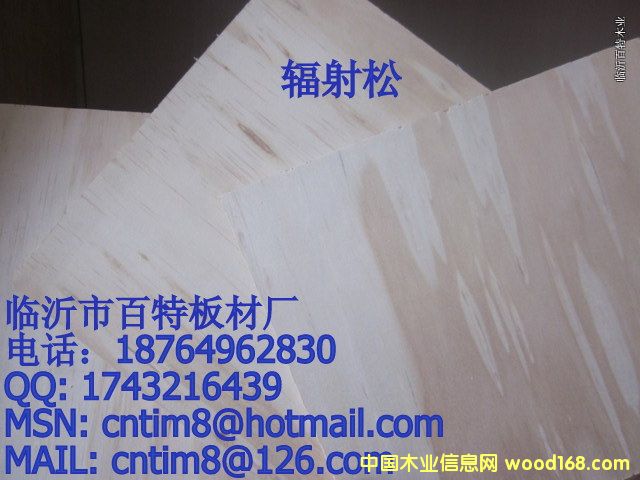 ݗ����3��Ԕ����B