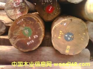 ��ɽ�ͻ���Ԕ����B