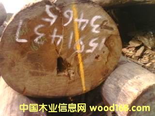 ��ľ��Ԕ����B