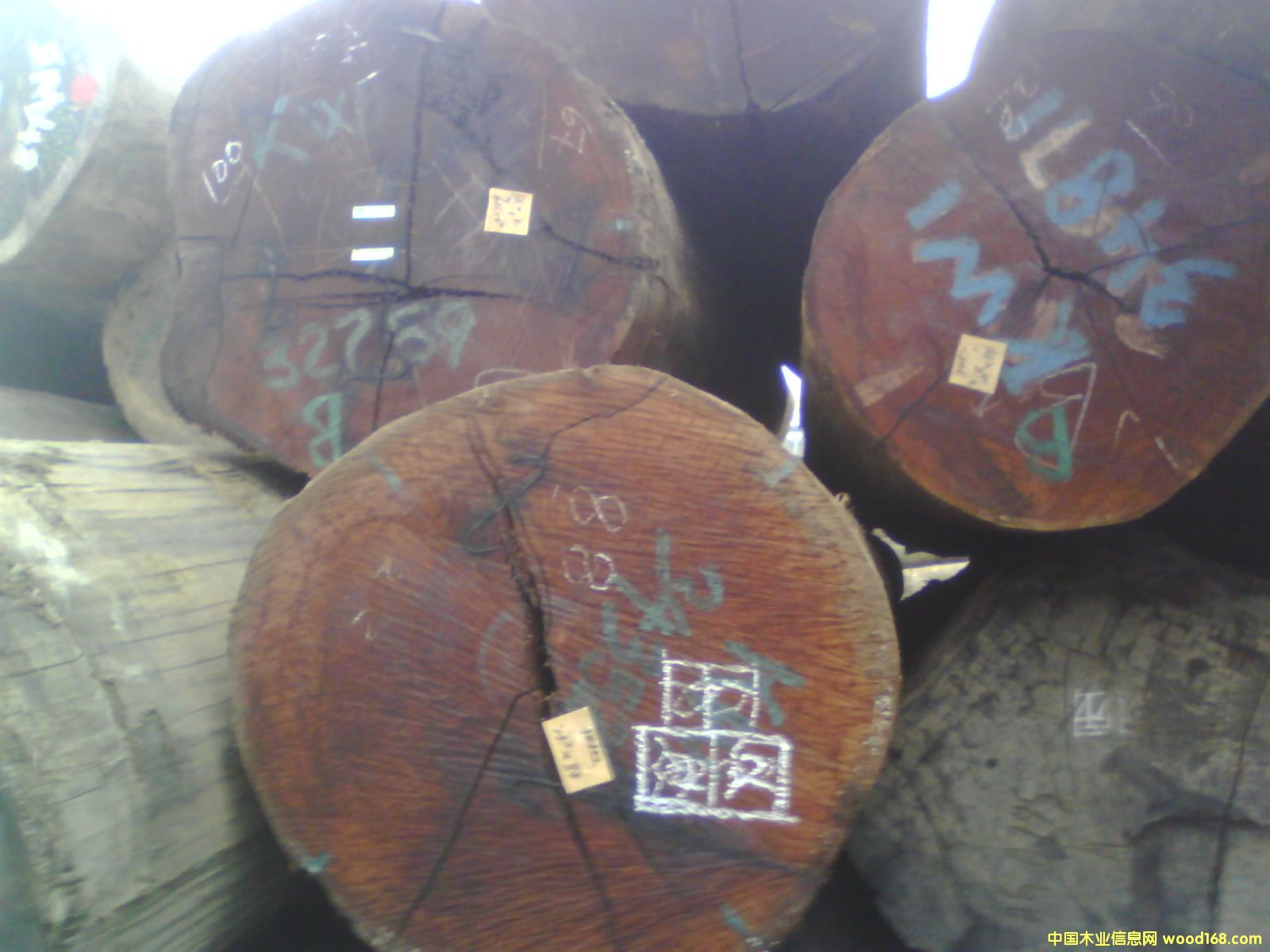 ���}���Ԕ����B