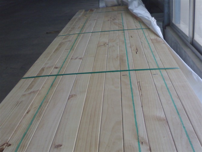 �����mݗ���ɵ�Ԕ����B