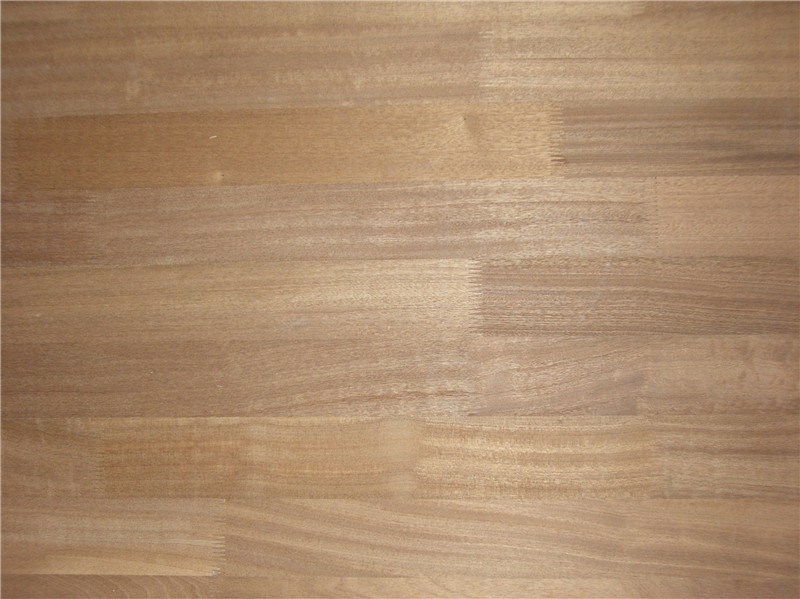 ɳ����ָ�Ӱ��Ԕ����B