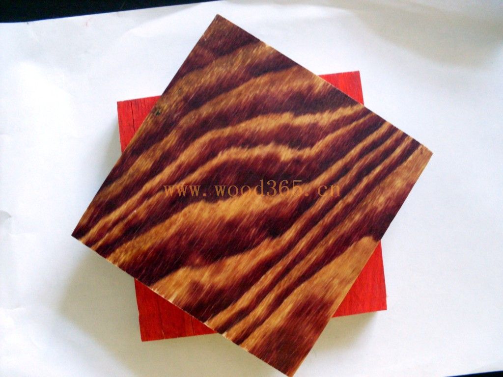 ����ģ���Ԕ����B