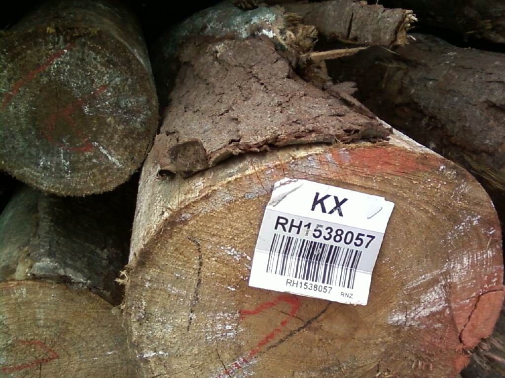 ݗ����ԭľ��ľƬ��Ԕ����B