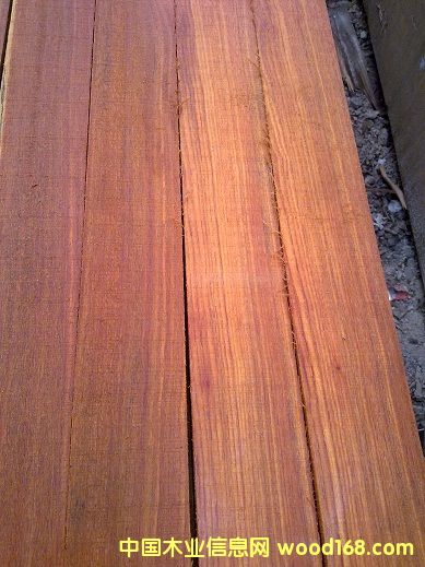 �𲻓Q��Ԕ����B