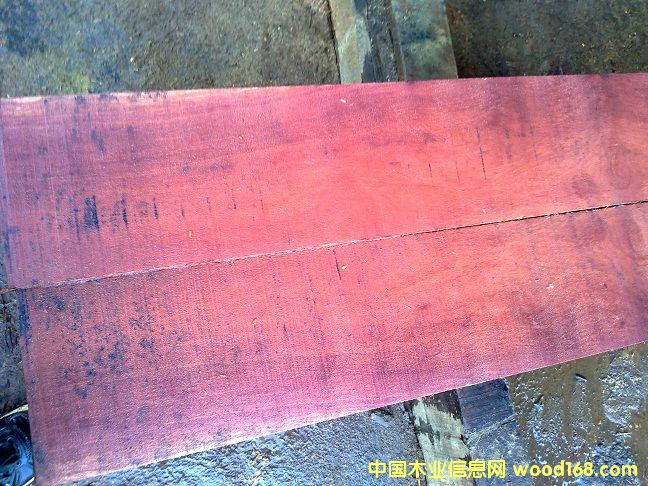 �t�sľ�ذ��ϵ�Ԕ����B