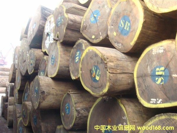 �������u���Ԕ����B