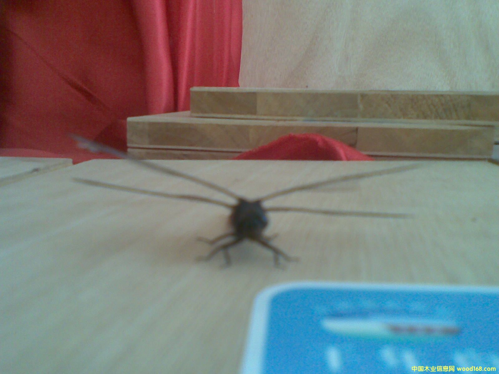 ��ľ�����Ԕ����B