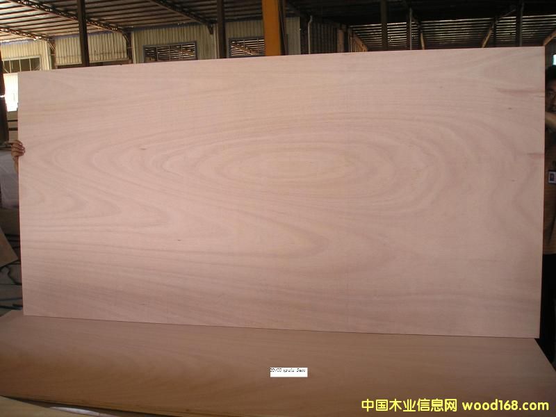 �W������ľо�z�ϰ��Ԕ����B