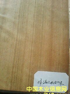 ������ľ��Ԕ����B