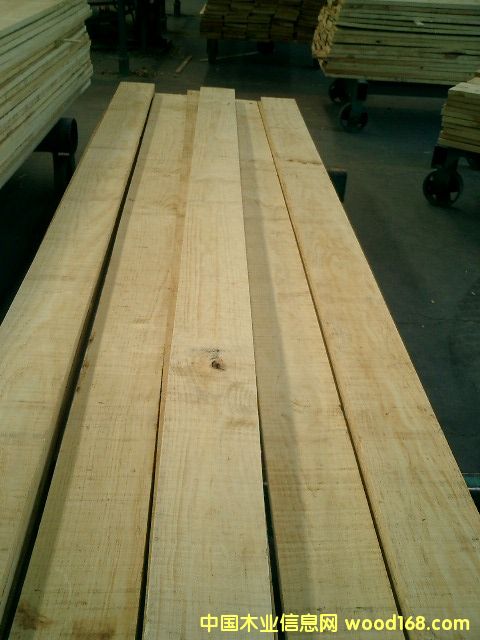 ��ľ��Ԕ����B