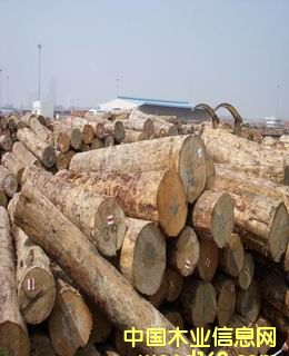 ����ݗ����ԭľ��Ԕ����B