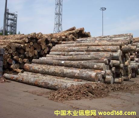 ����ݗ����ԭľ��Ԕ����B