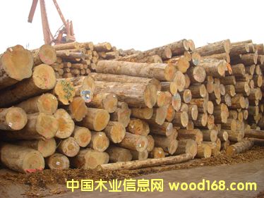 ݗ���� ���ɵ�Ԕ����B