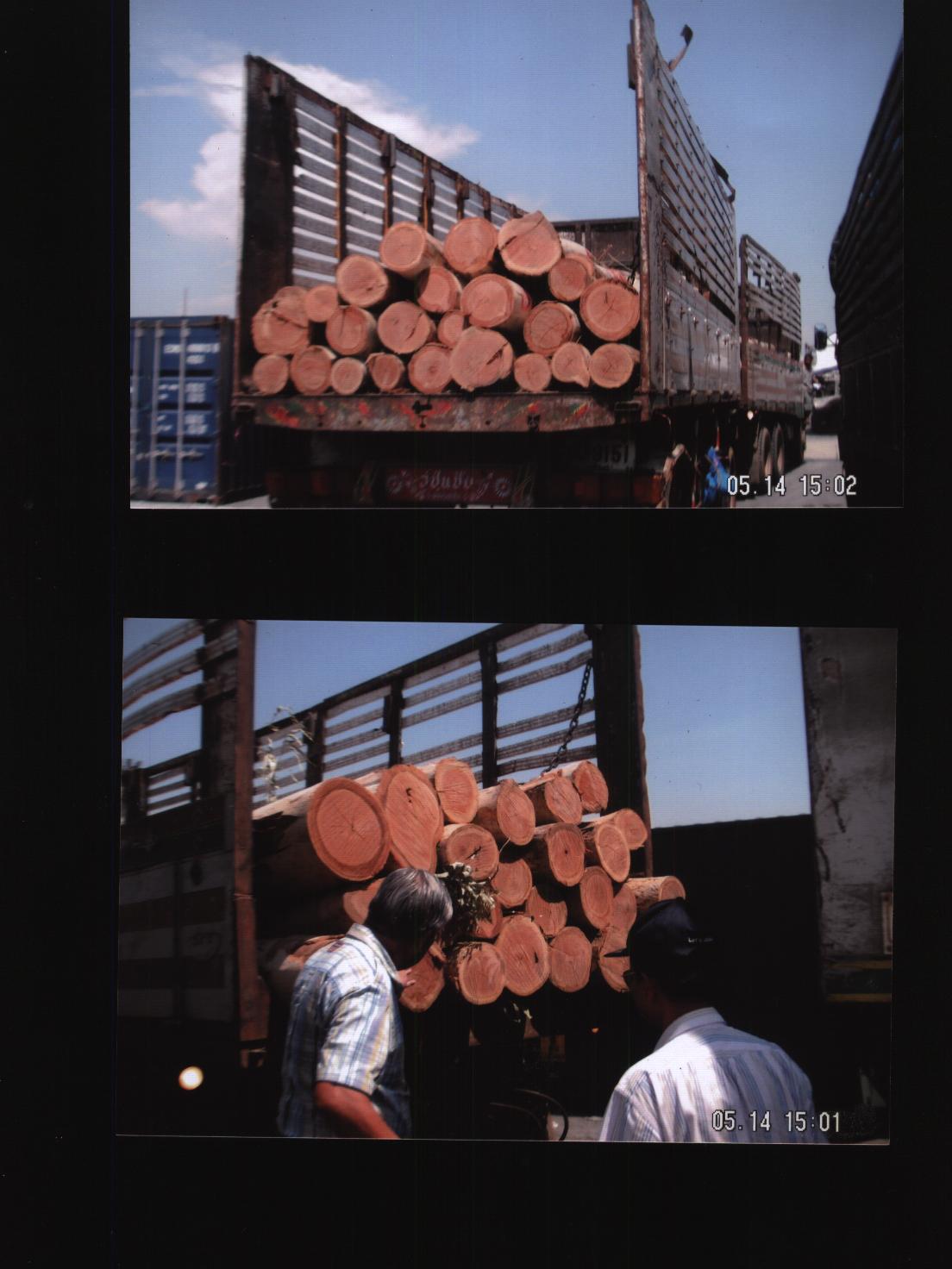 ̩�����|ԭľ������Ԕ����B