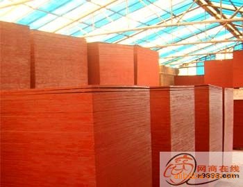 ���������Ԕ��(x��)��B