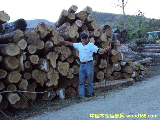 ��ľ��Ԕ����B