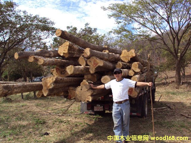 ��ľԭľ��Ԕ����B