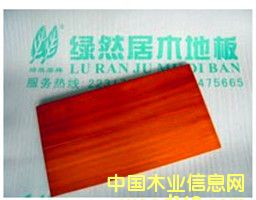 ��ľ��Ԕ��(x��)��B