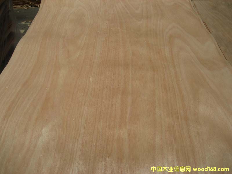 �W�����ΰ�