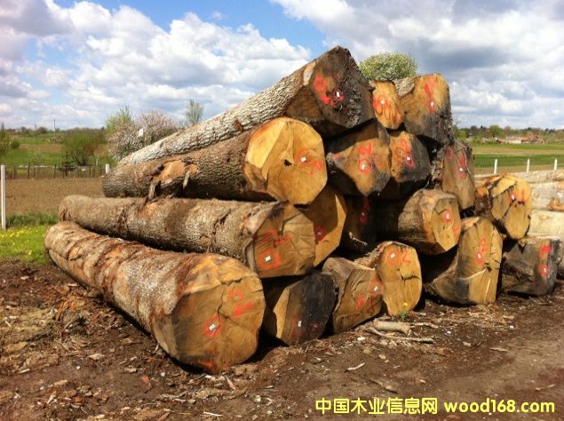 �|�W��ľ-���м���Ԕ����B