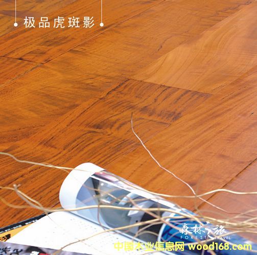 ɭ��֮�ØOƷ����Ӱ��Ԕ����B