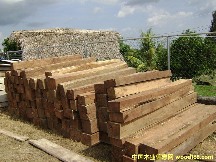 ����Ɲ�S̴��Ԕ����B