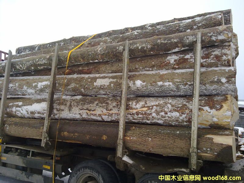 ���ɵ�Ԕ����B