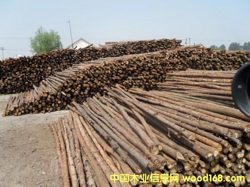 ɼľ�U����ľ�U