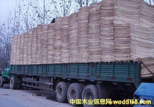 ��ľ��Ƥ��Ԕ��(x��)��B