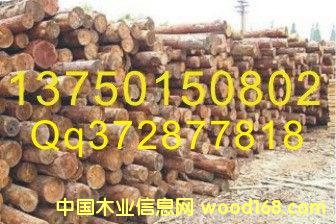 ԭľ��Ԕ����B