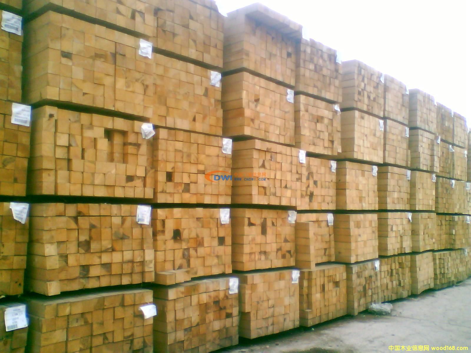 ������ľ��Ԕ����B