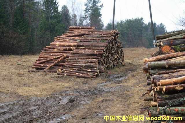 ���{ľ�ĵ�Ԕ����B