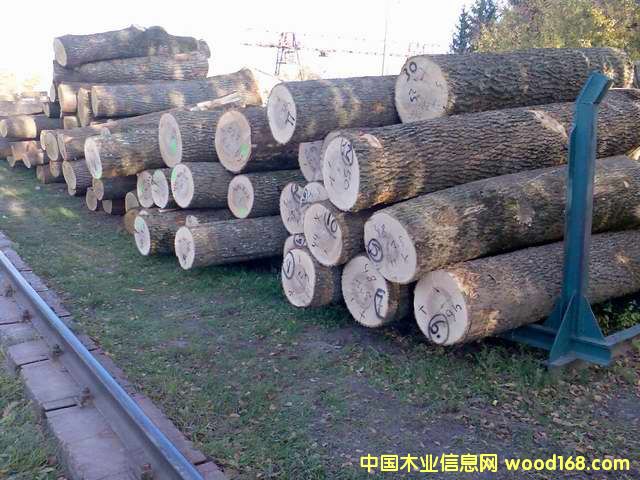 ˮ����ԭľ��Ԕ����B