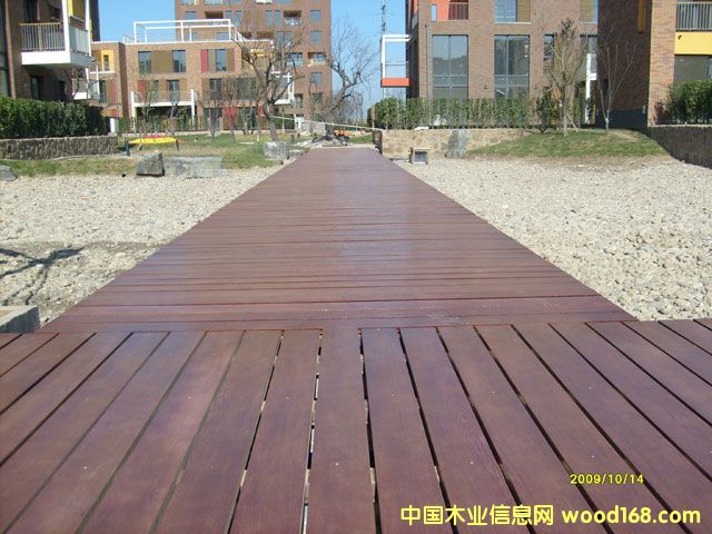 ��������ľ�ذ��Ԕ��(x��)��B