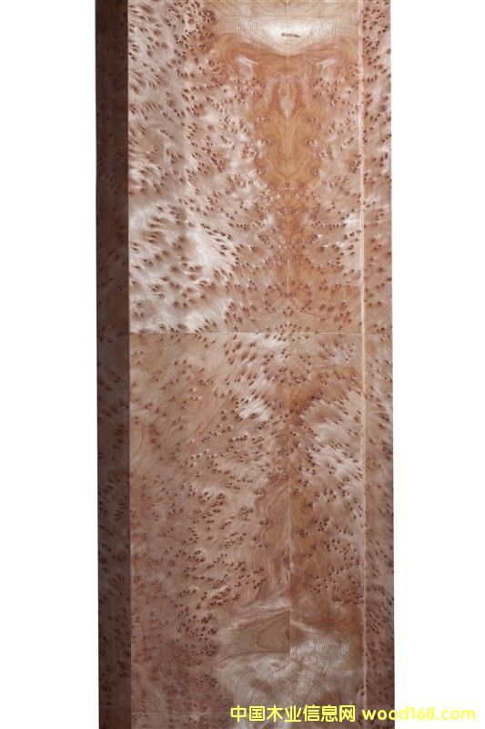 ����ľ����Ԕ����B