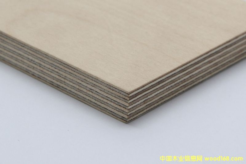 �M�ڶ��_˹ȫ��ľ�z�ϰ� ������Ԕ����B