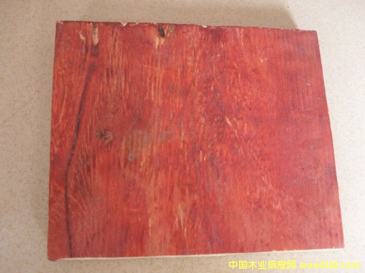 ���|����ģ���Ԕ����B