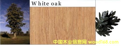 ����ľ��Ԕ��(x��)��B