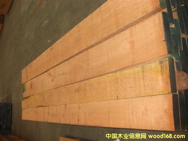 ���ҵ�Ԕ����B